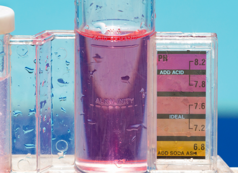 Acqua Alcalina